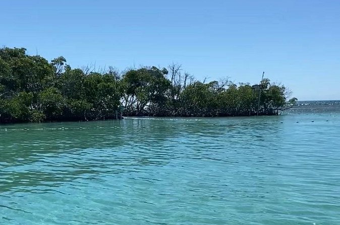 Full-Day Private Cruise in Cayo Caracoles - Where you meet in Lajas, and how the timing works