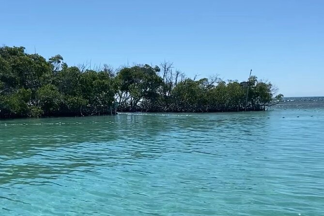 Full-Day Private Cruise in Cayo Caracoles - Who this private cruise is best for