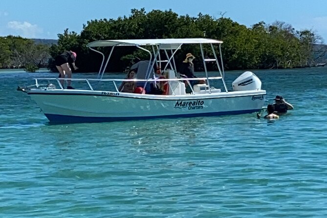 Full-Day Private Cruise in Cayo Caracoles - Weather, expectations, and the plan B mindset
