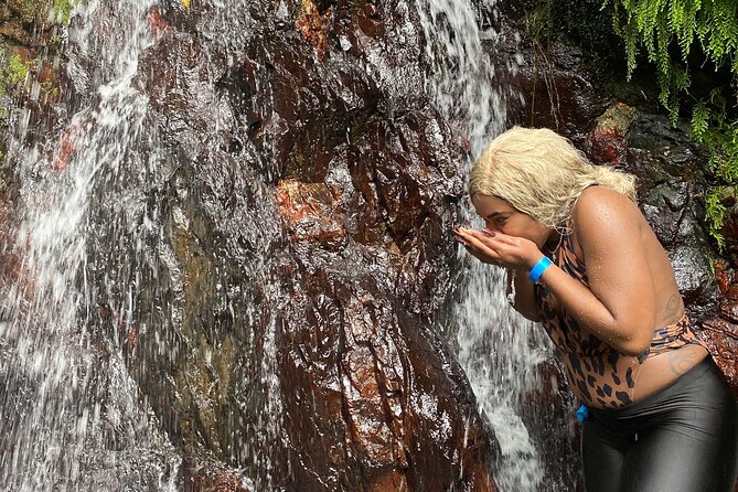 Full-Day Private Tour to Tinajas Waterfalls in El Yunque - Key Highlights You Will Actually Feel
