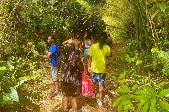 Full-Day Private Tour to Tinajas Waterfalls in El Yunque - Getting There From San Juan, Why the Pickup Saves Time