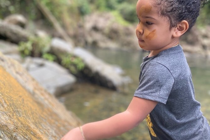 Full-Day Private Tour to Tinajas Waterfalls in El Yunque - Price and Value: When $700 Makes Sense for Your Group