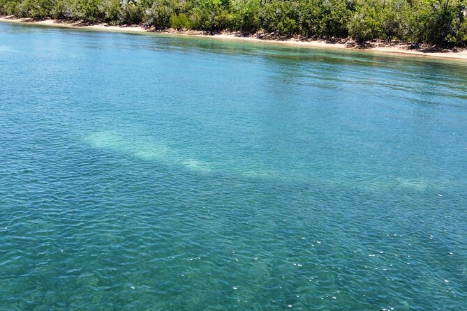 Full-Day Snorkeling Gear Rental in Puerto Rico - Why Cabezas de San Juan Is a Smart Snorkel Stop