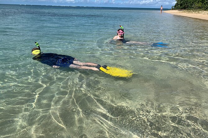 Full-Day Snorkeling Gear Rental in Puerto Rico - Your Snorkeling Session Inside the Reserve