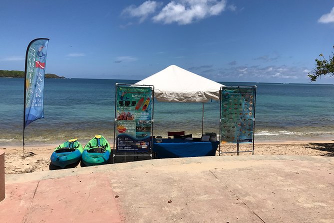 Full-Day Snorkeling Gear Rental in Puerto Rico - Marine Life ID Card and How to Use It