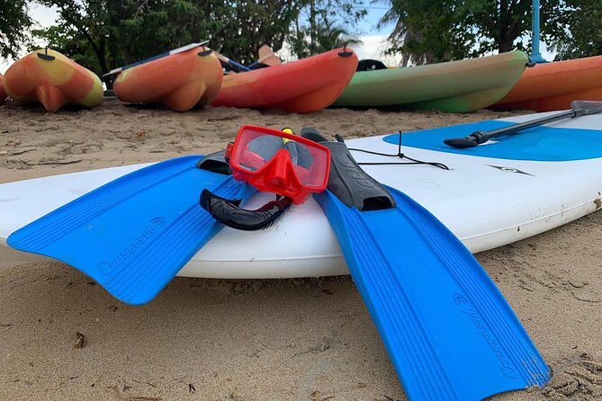 Full-Day Snorkeling Gear Rental in Puerto Rico - Price and Value: Why $34 Works Here