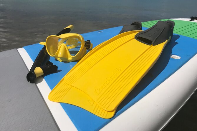 Full-Day Snorkeling Gear Rental in Puerto Rico - At Pirate Snorkeling Shack: Meeting Point and Setup