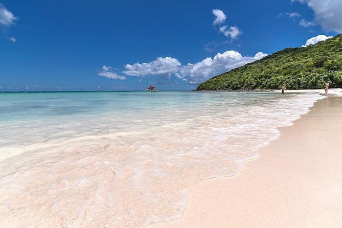 Full-Day Snorkeling Tour to Culebra Island with Lunch - Snorkeling support that actually helps: gear, crew, and wildlife spotting