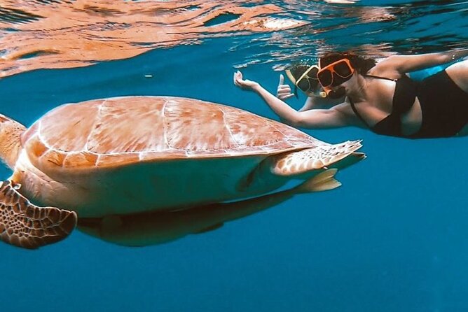 Full-Day Snorkeling Tour to Culebra Island with Lunch - Stand-up paddleboards at Flamenco: a slower way to explore