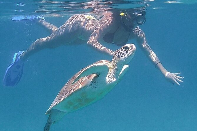 Full-Day Snorkeling Tour to Culebra Island with Lunch - Who should book this Culebra snorkeling tour, and who should skip it