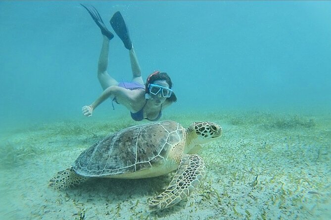 Full-Day Snorkeling Tour to Culebra Island with Lunch - The boat ride to Culebra from Fajardo: comfort versus reality