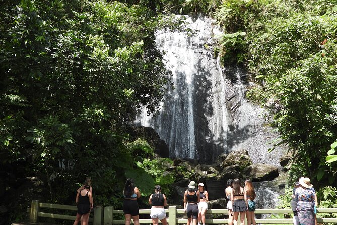 Full-Day Tour: El Yunque, Luquillo Beach, Bio Bay Night Kayaking - Key Things I’d Focus on Before Booking