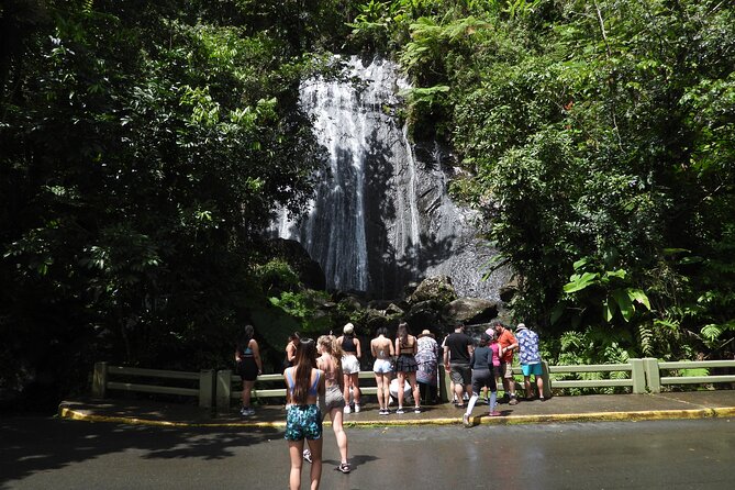 Full-Day Tour: El Yunque, Luquillo Beach, Bio Bay Night Kayaking - The Luquillo Kioskos Window: Lunch, Shopping, and a Beach Reality Check