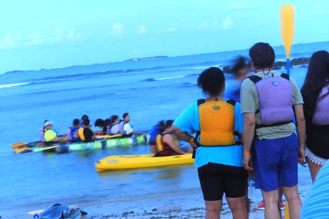 Full-Day Tour: El Yunque, Luquillo Beach, Bio Bay Night Kayaking - Guides Make the Day: Rafael, Angel, Ingrid, and the Kayak Team