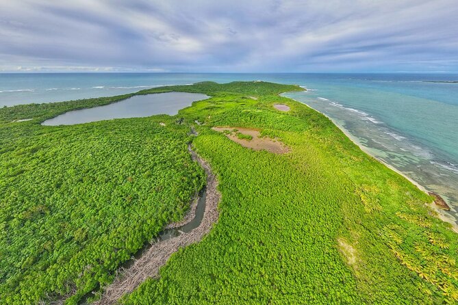 Full-Day Tour: El Yunque, Luquillo Beach, Bio Bay Night Kayaking - What to Bring So You Enjoy Every Part