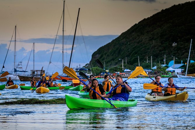 Full-Day Tour: El Yunque, Luquillo Beach, Bio Bay Night Kayaking - Catarata La Coca: A Short Waterfall Stop That Sets the Tone