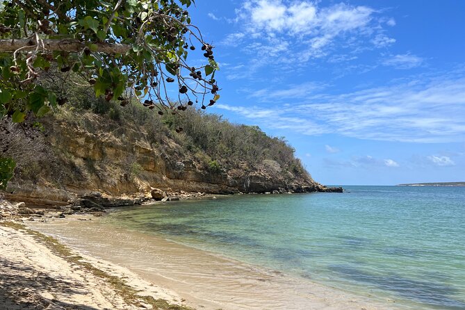 Full Day Vamos Pa la Isla Southwest Experience - Starting in Tibes, or Taking the Casa Pueblo Coffee Detour (Mon/Tue)