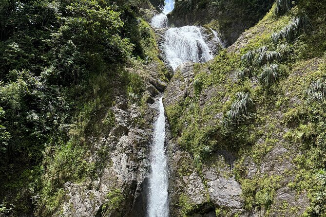 Full Day Waterfalls of Puerto Rico: Central Mountains Escape - Toro Negro State Forest and El Banquillo: the long nature segment