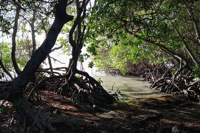 Full Day West Coast Adventure in Puerto Rico - Price and value: what $200 buys you in a 10-hour day