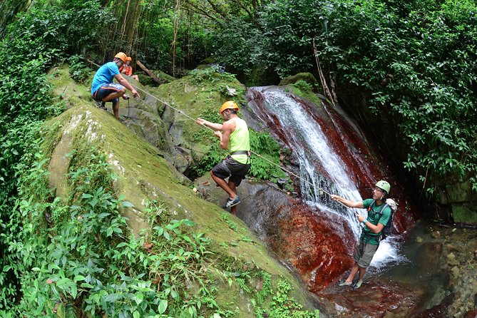 Full-Day Zipline and Waterfall Rappelling Adventure Near San Juan - Carite State Forest Near Caguas, With a Real Rope-Based Challenge