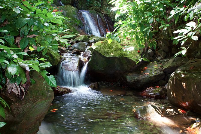 Full-Day Zipline and Waterfall Rappelling Adventure Near San Juan - Grandma’s House Lunch: The Comfort Part After Getting Wet