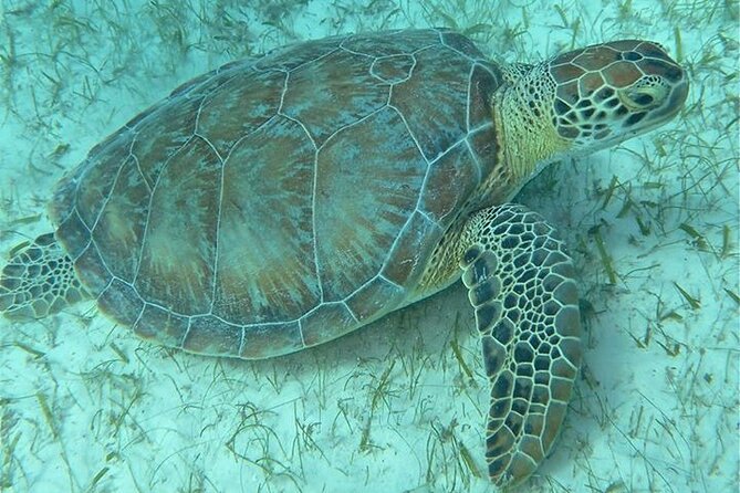 Get SCUBA Certified at San Juan - Gear, Facilities, and the Small-Group Advantage