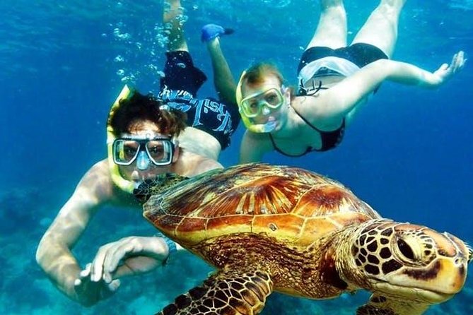 Guided Coral Reef Snorkeling Tour - The 2-hour flow: what you do from check-in to back on land