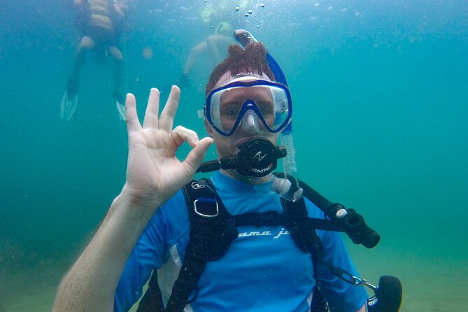 Guided Shore Diving Tour - Key highlights you should care about