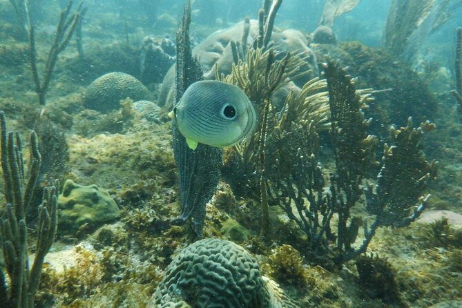 Guided Shore Diving Tour - Gear and what to bring so you do not waste time