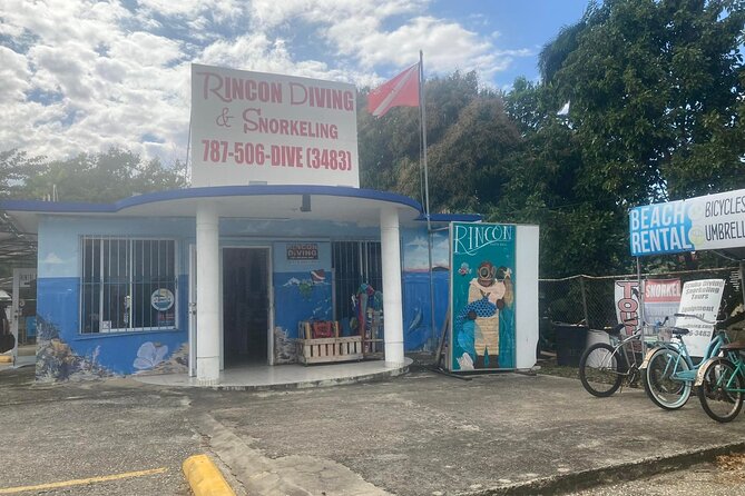 Guided Shore Diving Tour - What you’ll likely see: reef fish, turtles, and that wall feeling