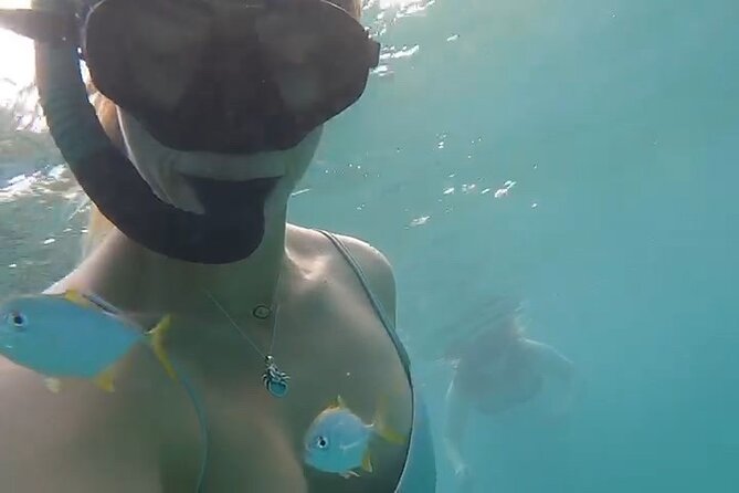 Guided Snorkeling adventure in San Juan - What Happens First: Check-In, Gear, and Shallow-Water Practice