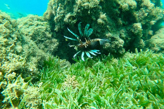Guided Snorkeling adventure in San Juan - Weather and Water Conditions: What to Watch For