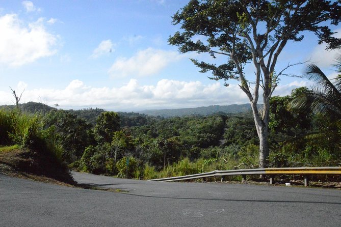 Half-Day Center of Puerto Rico Cultural Tour - Key points to know before you go
