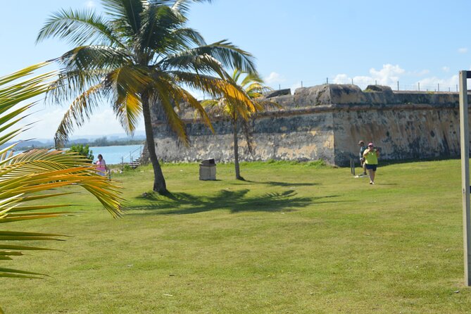 Half-Day Center of Puerto Rico Cultural Tour - The central Puerto Rico route: beyond Old San Juan