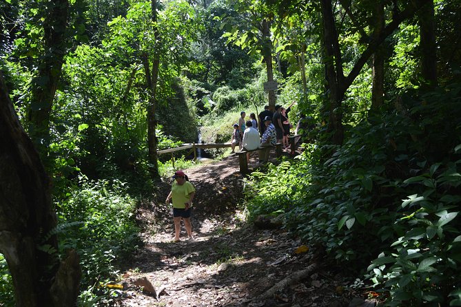 Half-Day Center of Puerto Rico Cultural Tour - Lunch in the mountains: authentic food, your choice, your bill