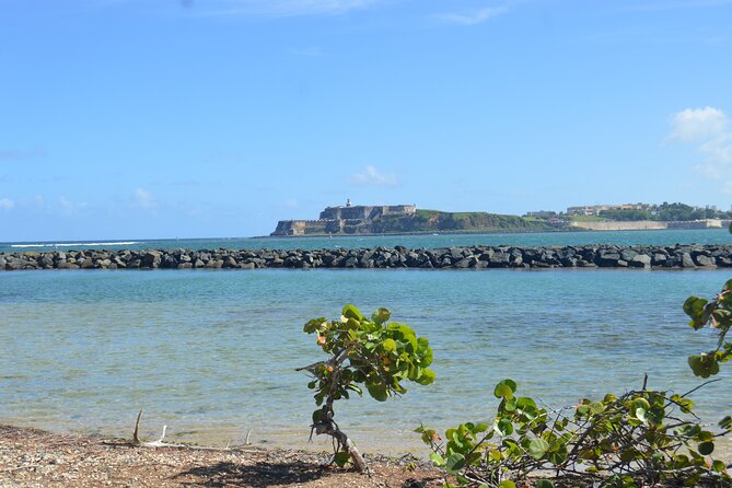 Half-Day Center of Puerto Rico Cultural Tour - What a 4 to 5 hour morning feels like in real life