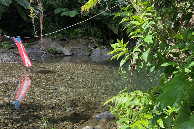 Half-Day El Yunque and Waterslides Adventure from Fajardo - Who this tour fits best, and who should look twice