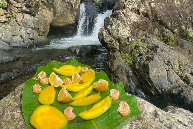 Half-Day El Yunque and Waterslides Adventure from Fajardo - My take: should you book this half-day El Yunque and waterslides tour?
