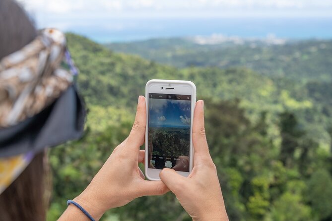Half-Day El Yunque National Forest Tour from San Juan - Your Day Plan Starts with San Juan Pickup and a Rainforest Mindset