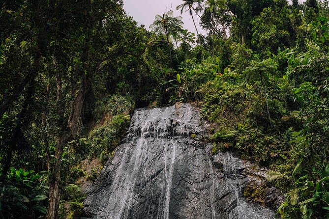 Half-Day El Yunque National Forest Tour from San Juan - The Short Nature Walk: A Calm Intro, Not a Full Trek