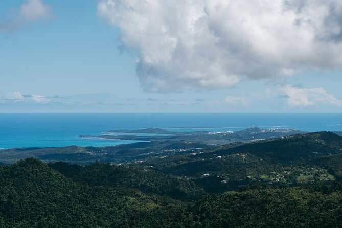 Half-Day El Yunque National Forest Tour from San Juan - Guides Are the Real Differentiator on This Tour