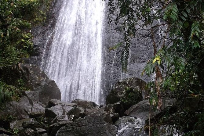 Half-Day El Yunque National Forest Tour from San Juan - What’s Included, What’s Not, and What That Means for Your Budget
