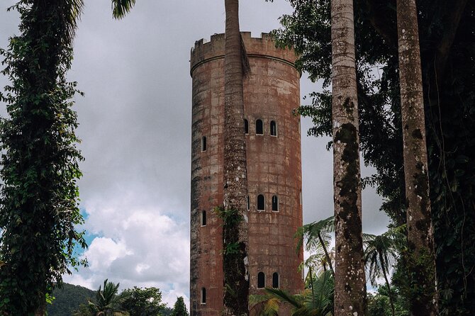 Half-Day El Yunque National Forest Tour from San Juan - El Yunque National Forest: More Than Pretty Trees