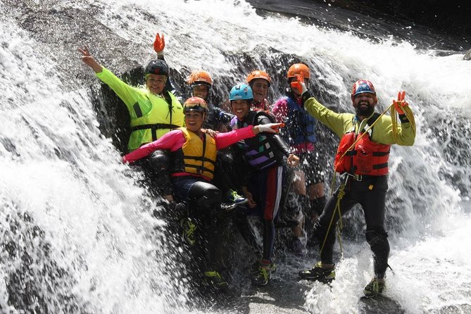 Half-Day El Yunque Rainforest Wilderness Adventure - Key things that make this El Yunque half-day worth your time