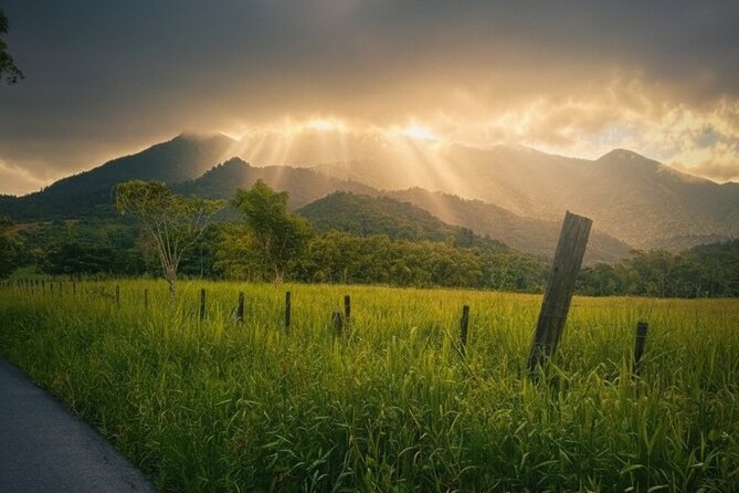 Half Day El Yunque Tour, Waterslide and Rope Swing - Key highlights I’d plan around