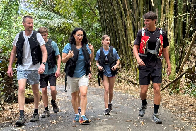 Half Day El Yunque Tour, Waterslide and Rope Swing - Stop 1: Naranjo Park, then your first water area