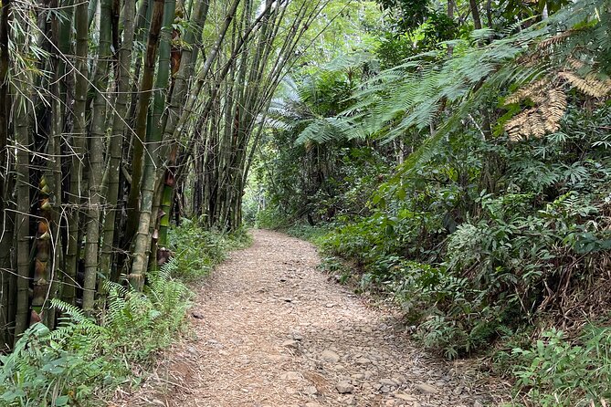 Half Day El Yunque Tour, Waterslide and Rope Swing - Stop 2: natural waterslide and cliff jump