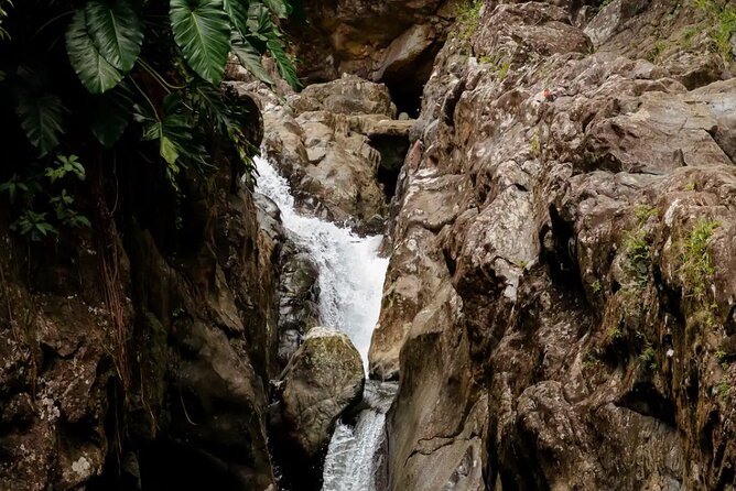 Half-Day El Yunque Waterslide Excursion （no Transportation) - Arrive at the Natural Pool: Cliff Jumps, Slides, and Rope Swing