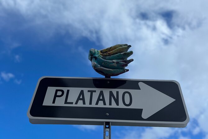 Half-Day: Old San Juan, Calle Cerra,Santurce, La Placita & Loíza - Old San Juan by drive: El Morro, La Fortaleza, and colonial streets without the chaos