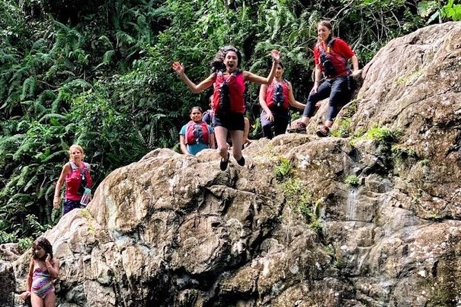 Half-Day: Rainforest and Waterslide Adventure with Transportation - Meeting point, timing, and practical prep that makes the day easier